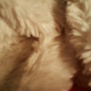 Meet your Posher, Joni